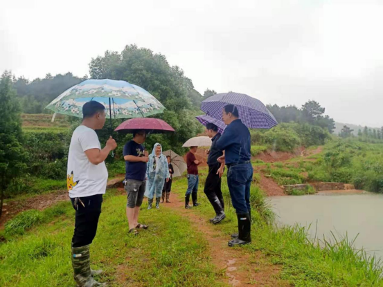 司马冲：在风雨雷电中彰显担当，推动党史学习教育“为民办实事”走深走实(1)(1)167.png